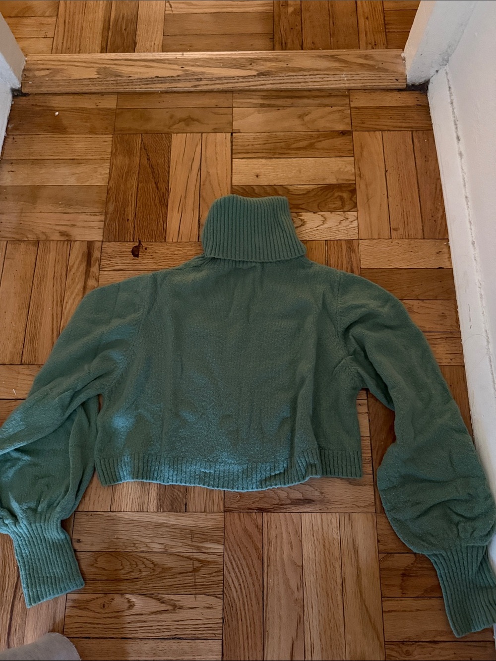 Princess Polly Cropped Turtleneck Sweater in Sage